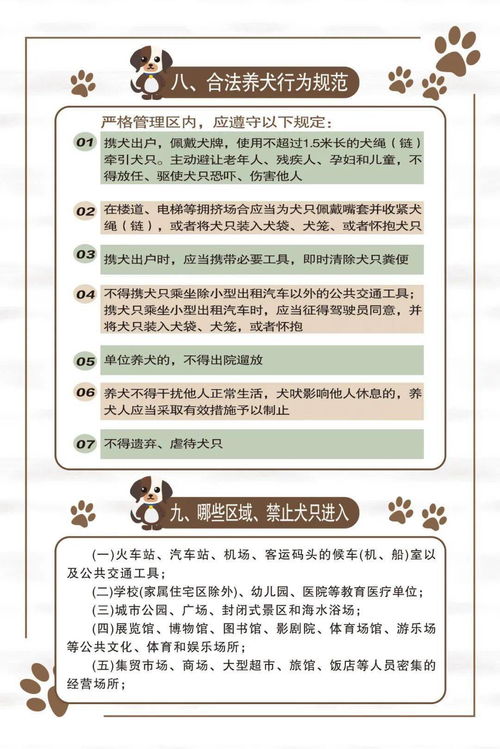一图读懂丨沧州市养犬管理办法
