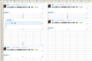 照片表格变形怎么弄好看，excel表格怎么让图片大小一样(表格怎么调整照片)