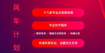 西瓜视频是多元化的发视频好一些，还是专门发一类视频好？