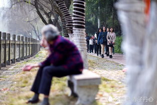 电话是老人的年 年初一,白发老人湖边打一小时电话 无人陪伴 