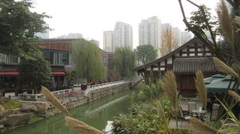 四川 成都 高新区 铁像寺水街,你错过了什么