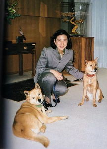 56岁雅子皇后爱养狗 不仅用狗缓和夫妻关系,还教会爱子责任感