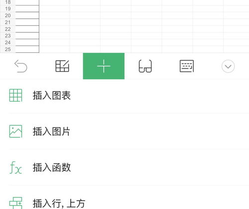 在苹果6s手机上使用wps office软件,如何在excel工作表内的方框里打勾 