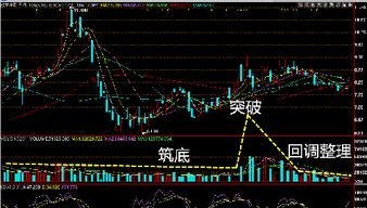 欣龙控股这支股票有潜力吗?