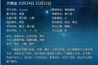 阳历1995年11月15是什么星座 