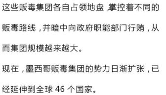 这个国家被毒品折磨得面目全非,只因为离上帝太远,离美国太近 