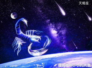 一生人缘较好的星座,有你吗