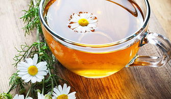 菊花茶有什么功效,喝菊花茶的好处有什么？