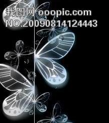 黑底色素材精选图片设计 高清AI模板下载 1.14MB Orchid shu分享 其他大全 