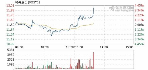 神开股份的价值？上市首日的表现？