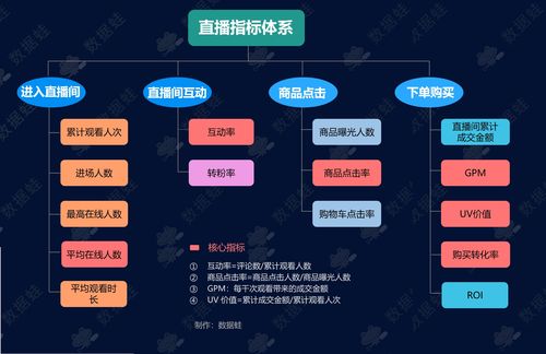 抖音电商数据分析案例 