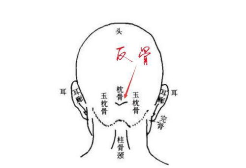 关于反骨的一些说法