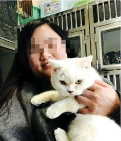 女买猫想退被拒绝,竟将猫剥皮致死丢宠物店