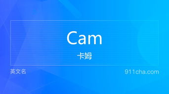 英文名Cam 的意思 性别含义寓意及印象是什么 英文名 911查询 