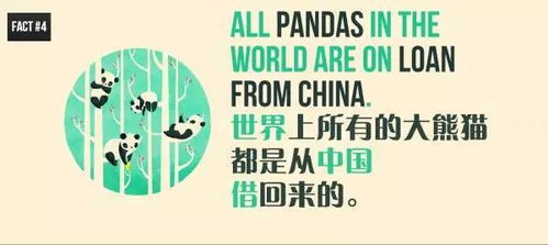 20个关于熊猫的冷知识 