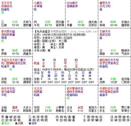 紫微斗数排盘求解 