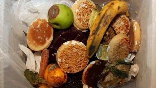 厉行节约 反对浪费 全球每年浪费13亿吨食物 节约粮食,不仅仅是中国的事