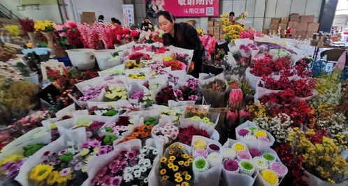 中国6大花市,全国最大的花卉批发市场介绍 