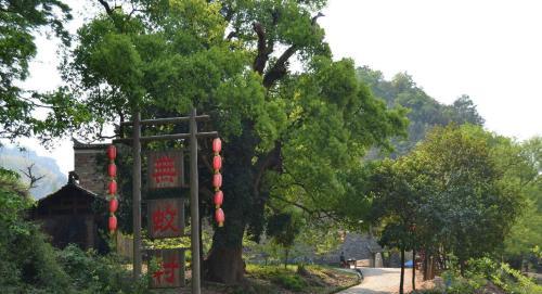 我国最神奇的村庄,位处深山夏天却没有蚊子,还是著名长寿村