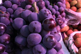 紫葡萄是什么意思啊 