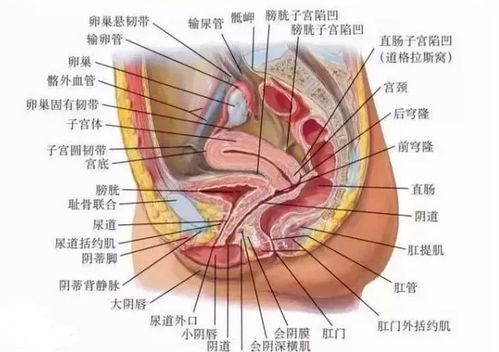 切除子宫后会不会还疼 医生 你的担心是不无道理的