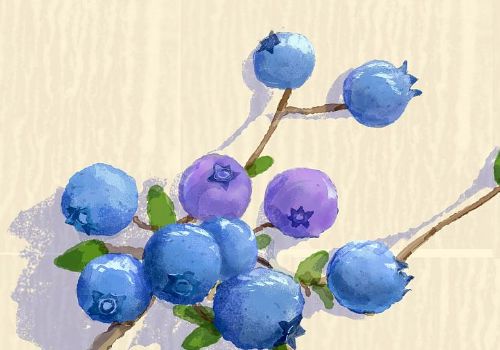 吃蓝莓能喝茶吗 吃蓝莓隔多久可以喝茶