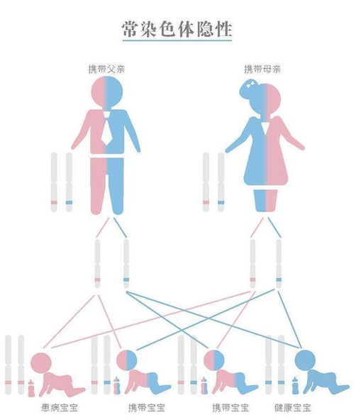 人火化后基因去哪了 DNA其实比你的想象更顽强