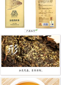 安化黑茶金花研究,黑茶的金花是什么?