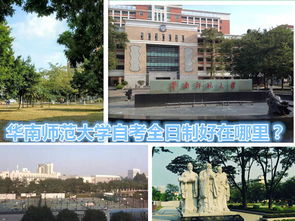 广州全日制自考大专院校,广州自考大专能考哪些院校？