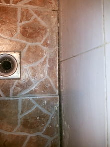 卫生间地砖墙砖缝隙反水是怎么回事