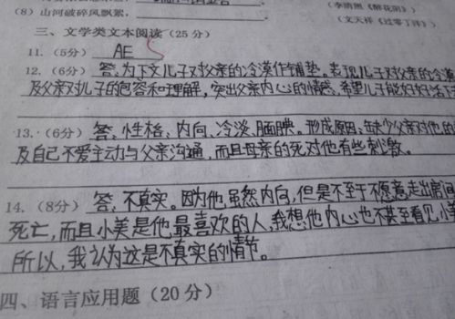 学生偏爱的 奶酪字体 ,为啥老师不喜欢 看看电脑阅卷就知道了