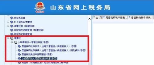 预交的增税网上报税的时候怎么填？急求解答，希望是正确回答。