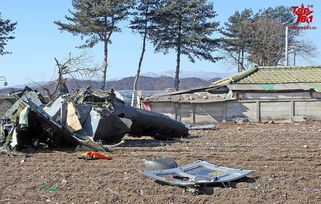 韩国发生一架 UH 1H 的坠毁事故 