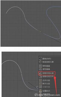 c4d可以画出具体尺寸吗(c4d导出图片尺寸大小的调整方法)