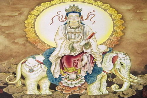 虎的守护神是什么菩萨,十二生肖的守护菩萨是哪位