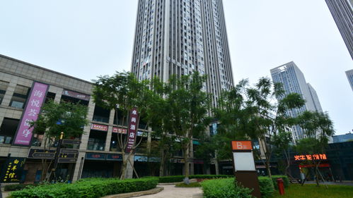 重庆同景国际城U组团房价价格,新房售楼处电话,楼盘怎么样 