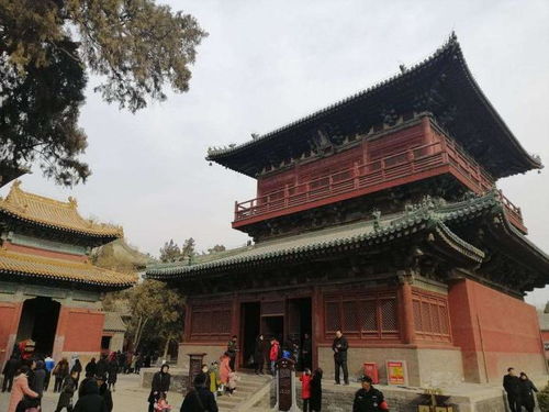 河北香火很旺的寺庙,是全国首批重点文物保护单位,就在石家庄