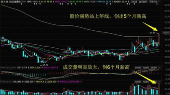 我只关注强势创近期新高的股，等回调后再买入。可行吗？