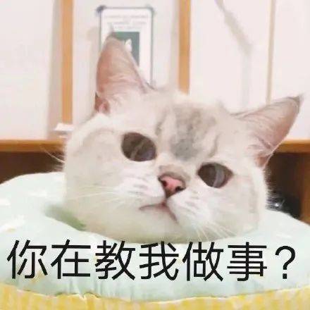 这10句回应都是什么？