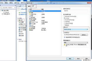 ubuntu下vmware安装win10