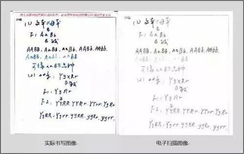 高考必须用0.5mm的黑色签字笔 评卷误差怎么回事 注意这些,考前多得20分