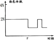 在孟德尔的具有两对相对性状的遗传实验中，F2代出现的重组性状类型中能够稳定遗传的个体数约占总数的？