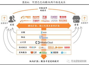 2017年阿里集团业务板块调研分析报告 一文读懂阿里巴巴 