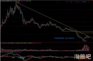 非常想问下汉王科技这只股票，自己使用的炒股软件上面提示这只股票将会大涨？于是今天买进了5万股左右？