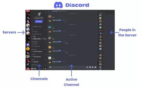 从 Discord 看未来社交的 超级群 模式