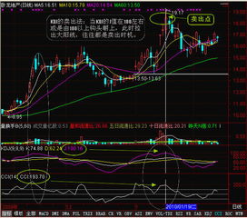 看股票哪个指标(比如,kdj.ccl )等,会比较准,哪位热心的朋友给分享下,谢谢!