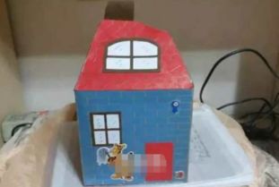 怎样用纸盒做小房子 