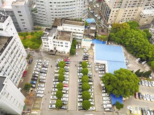 冷水滩河西步行街停车场收费标准,北京市平谷步行街停车收费标准