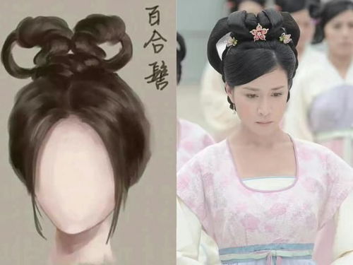 中国古典美 古代女子发髻图解,有你喜欢的吗 