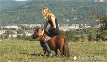 女孩带男友去骑马,当女孩骑马出来的那一刻,男友笑晕在厕所